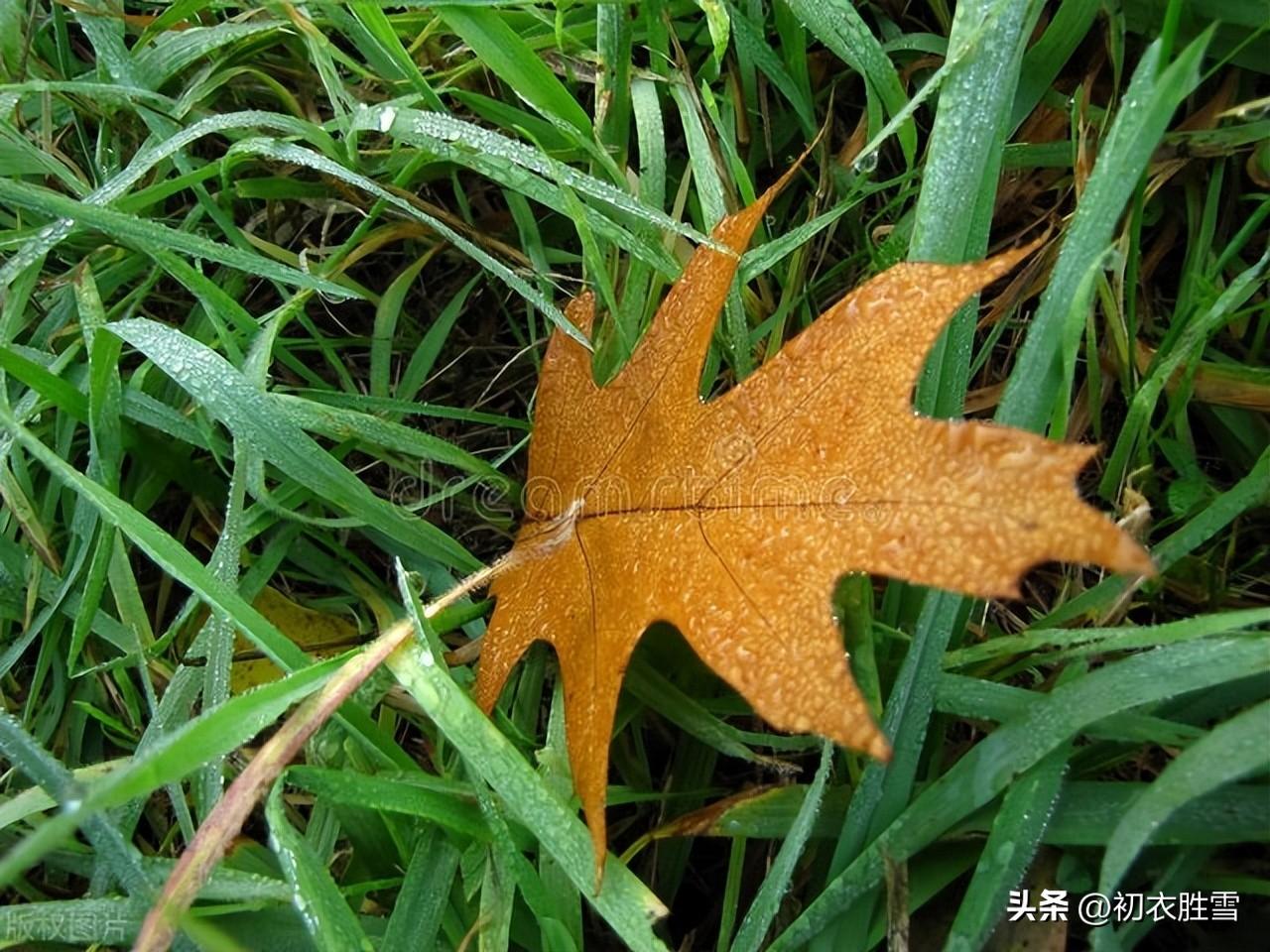 处暑诗词古句大全（处暑节气唯美古诗五首）