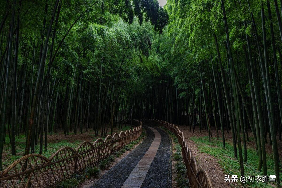 小暑节气古诗五首鉴赏（小暑一声雷，花时天小暑）