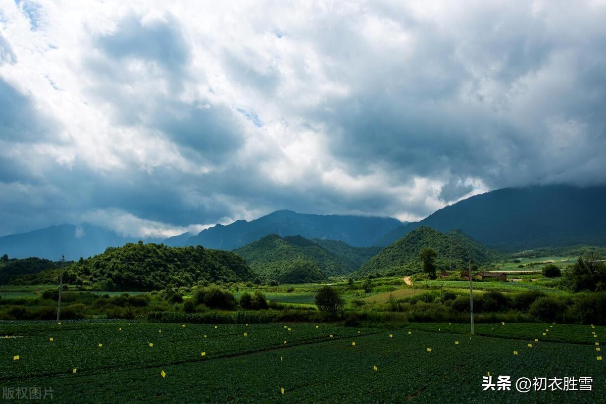 出岫还成岫，从龙更似龙（夏云唯美古诗六首赏读）