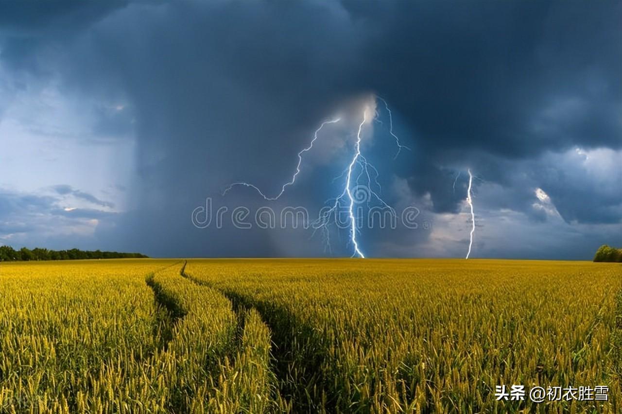 芒种夏日经典诗词（芒种时雨古诗三首赏读）