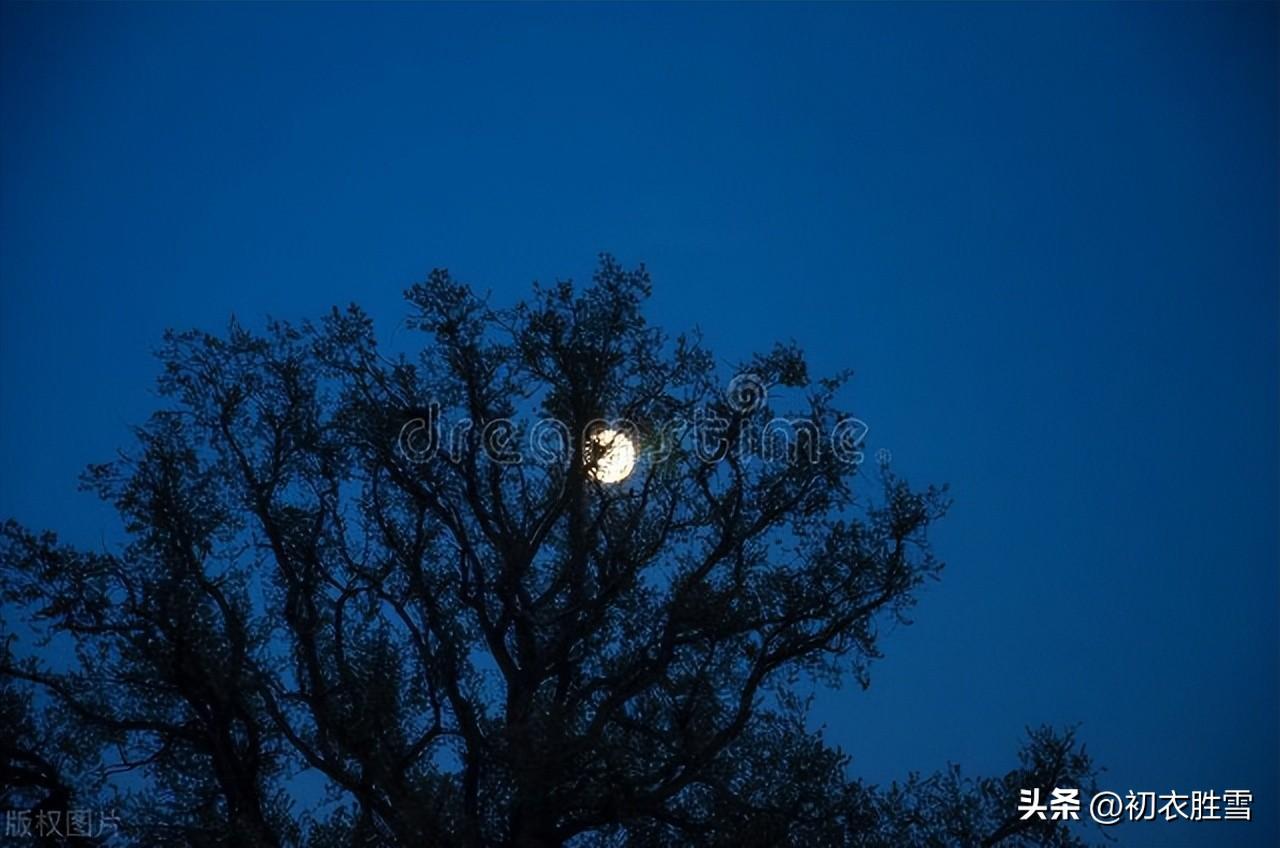 秋天诗词古句摘抄大全（节气秋分美诗五首）