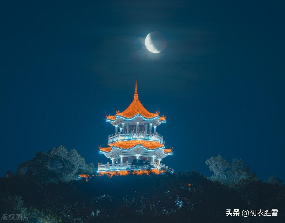 西楼秋月古诗句七首（秋夜月偏明，西楼独有情）