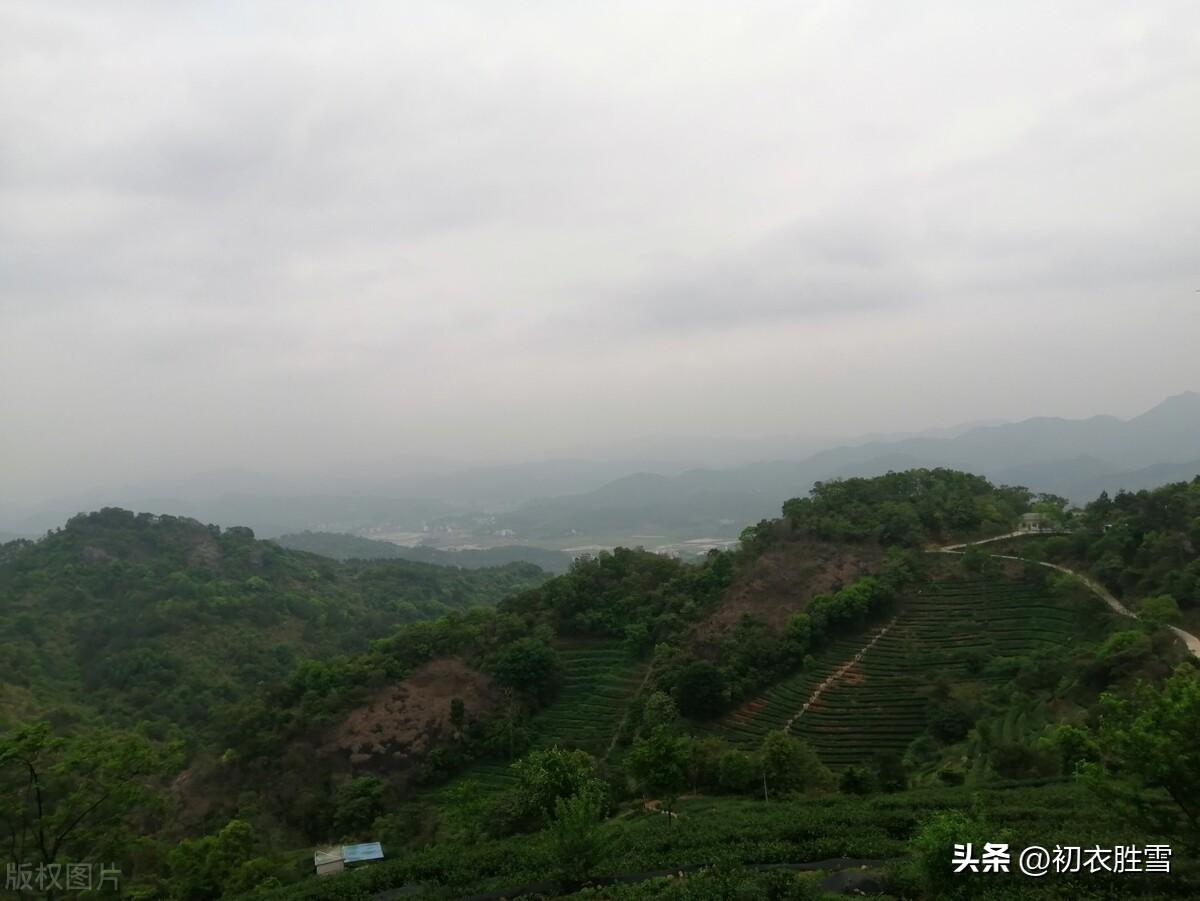 清明节扫墓经典诗词五首（清明祭扫各纷然，百年人世几清明）