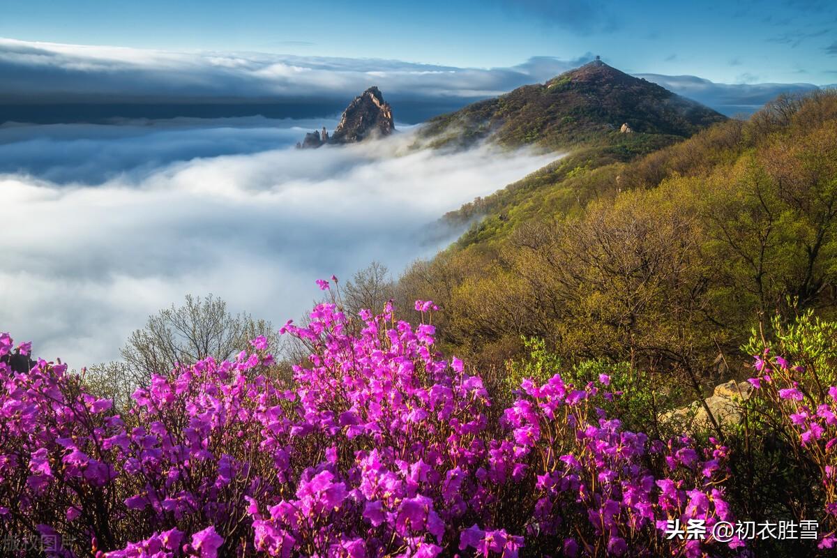 清明节扫墓经典诗词五首（清明祭扫各纷然，百年人世几清明）