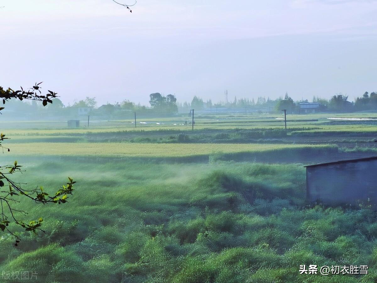 明快晚春唯美诗词五首（水边天际绿成围，阴阴新绿满林梢）