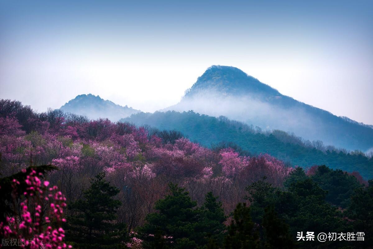 明丽春分优美诗词五首（芳原不觉已春分，桃花红一村）