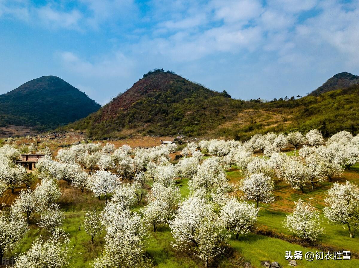 仲春二月花经典诗词六首（二月花堪爱，全开未落时）