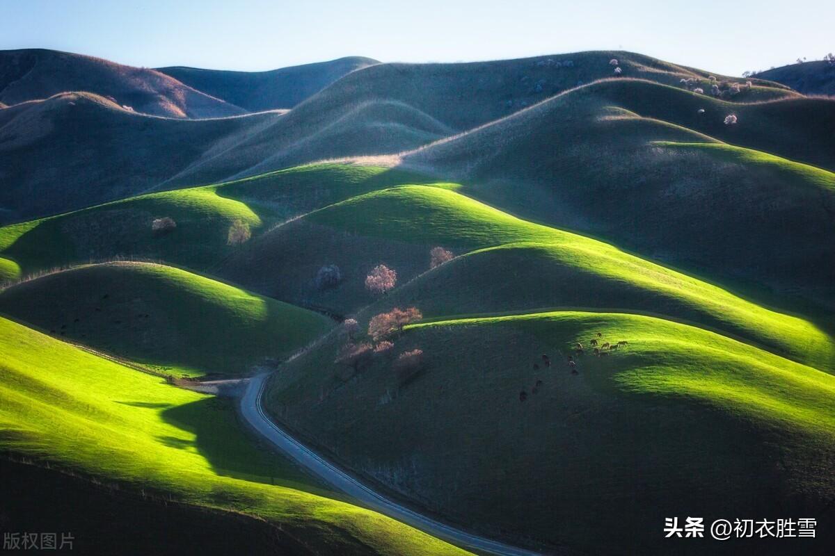 春草萌生唯美诗词六首（山山春草满，何处不相思）