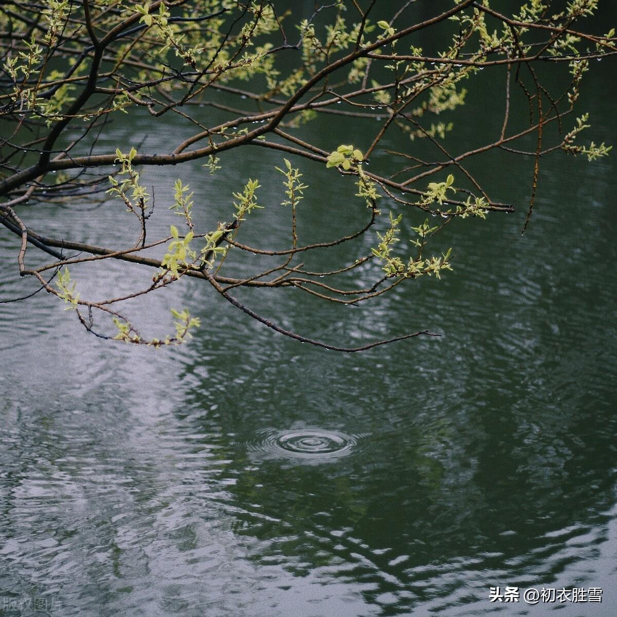 春寒唯美古诗有哪些（春雨春寒古诗七首鉴赏）