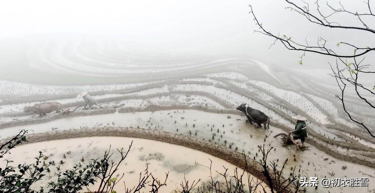 春寒唯美古诗有哪些（春雨春寒古诗七首鉴赏）