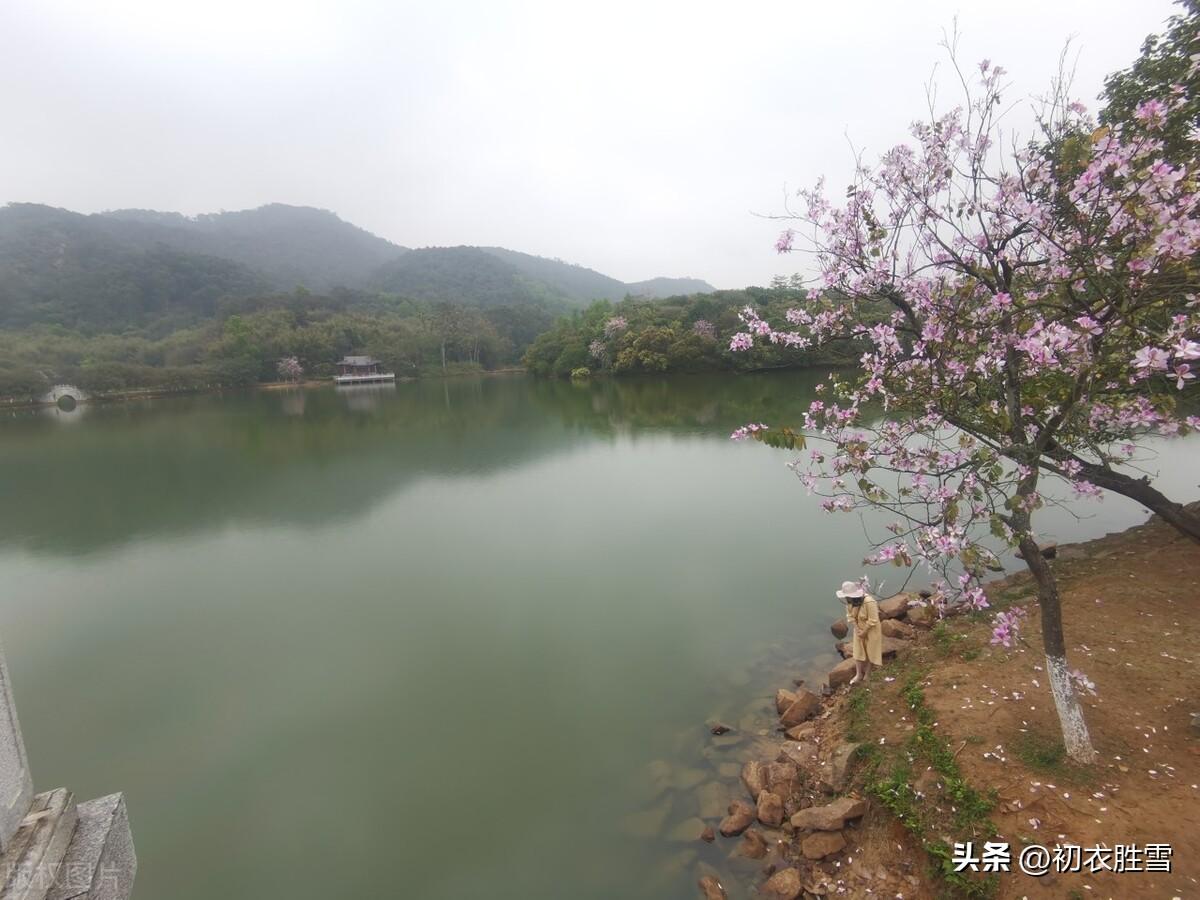 春雨清新诗词六首（春雨生春水，春水满四泽）