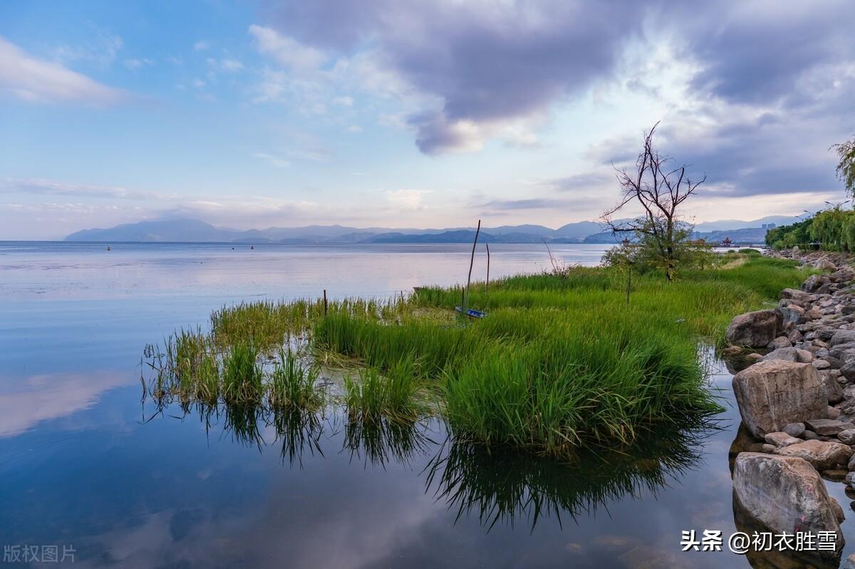 春雨清新诗词六首（春雨生春水，春水满四泽）