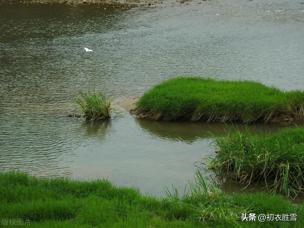 春草经典古诗三首推荐（青青河边草，悠悠万里道）