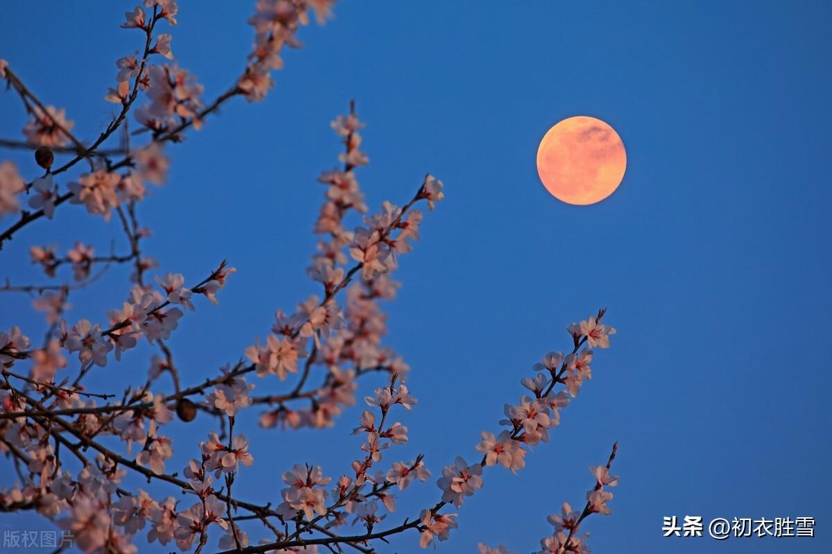 ​元宵节优美诗词四首（年年此夜，华灯盛照）