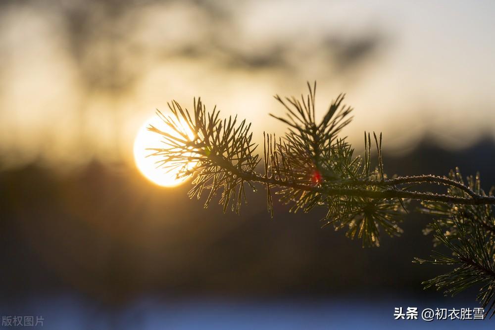 仲冬小至经典古诗五首（至日将添线，梅梢破玉无）