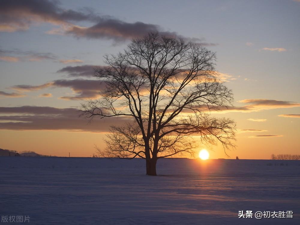 仲冬小至经典古诗五首（至日将添线，梅梢破玉无）