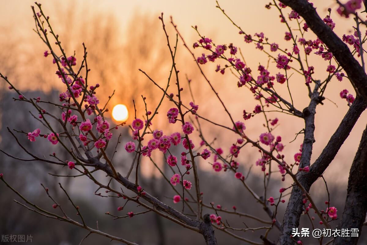 仲冬小至经典古诗五首（至日将添线，梅梢破玉无）