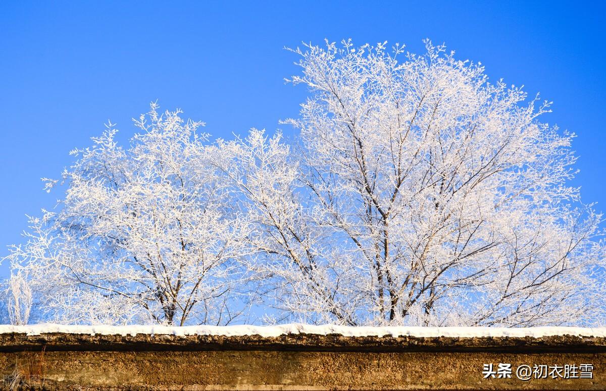 梅花诗词古句精选（梅花开易落，白雪长到门）