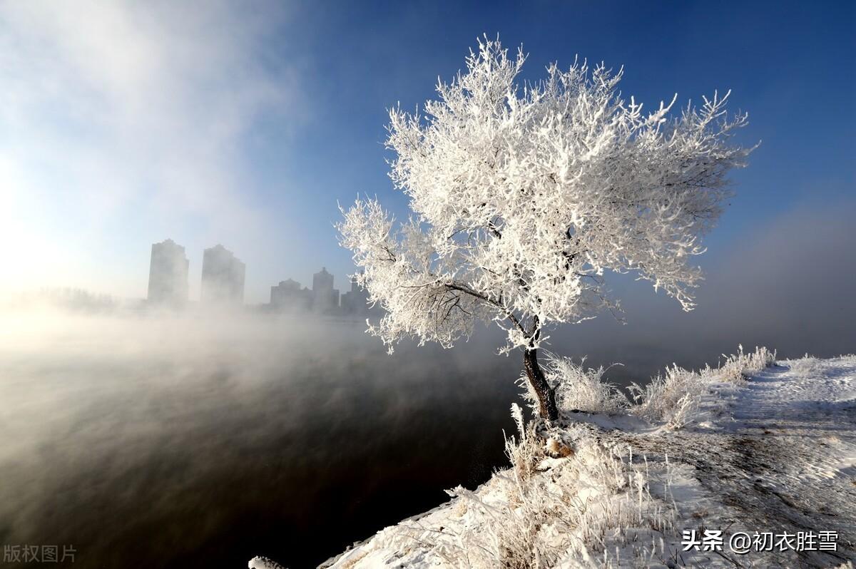 梅花诗词古句精选（梅花开易落，白雪长到门）