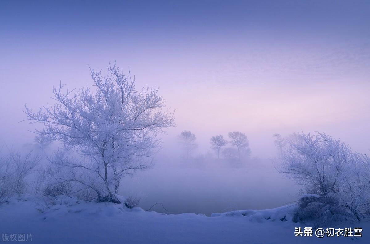 梅花诗词古句精选（梅花开易落，白雪长到门）