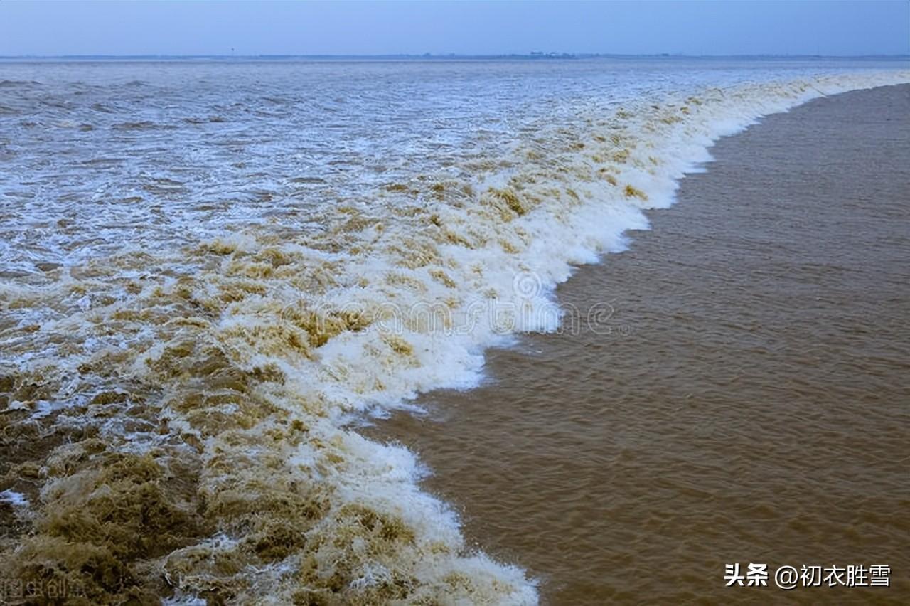 中秋月古诗六首赏析（海上生明月，海上明月共潮生）