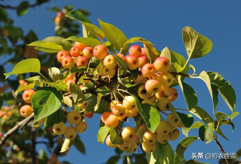 季夏六月月令古词六首（六月炎蒸何太盛，水云乡里无烦暑）