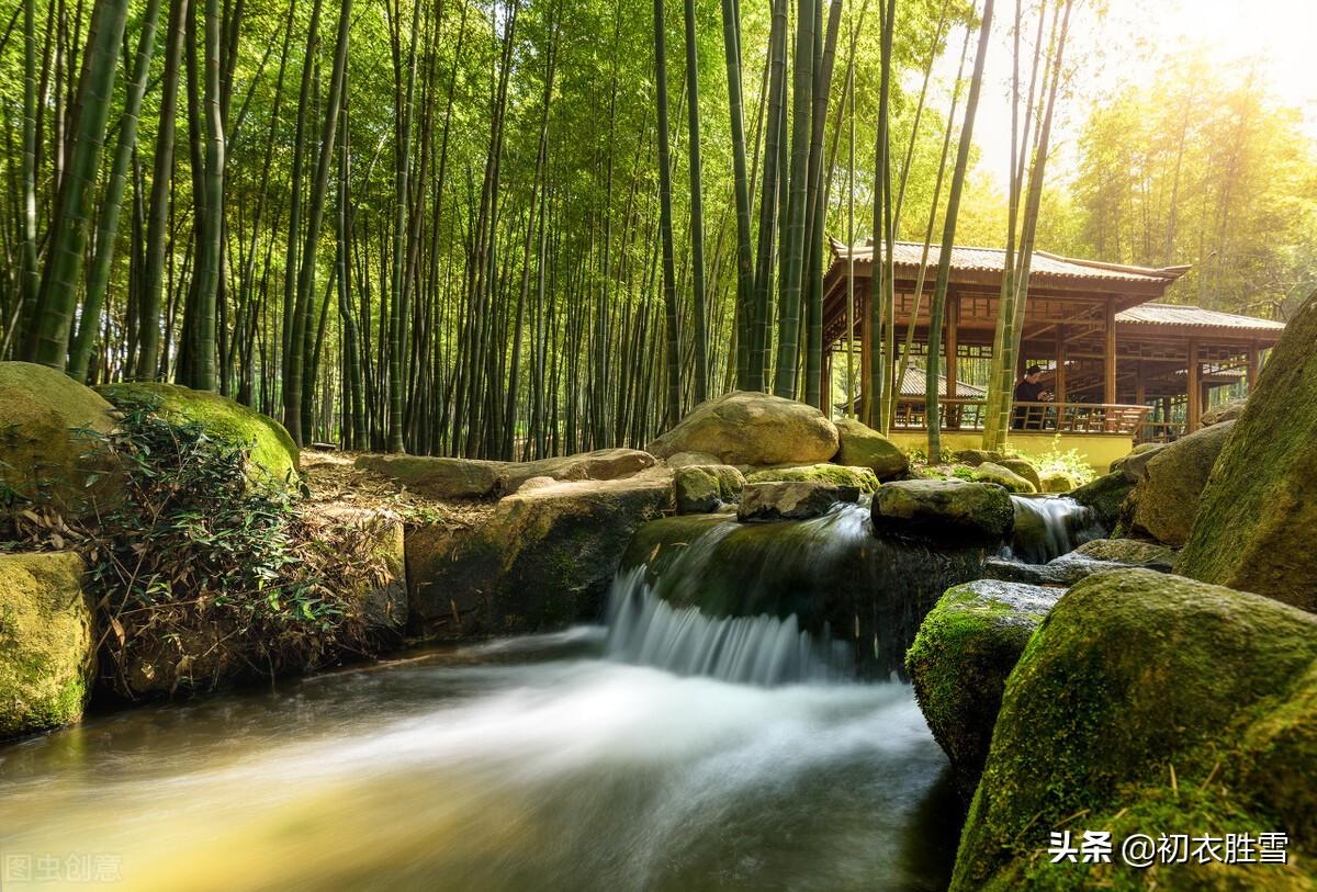 夏诗九夏唯美古诗八首（竹风秋九夏，溪月昼三更）