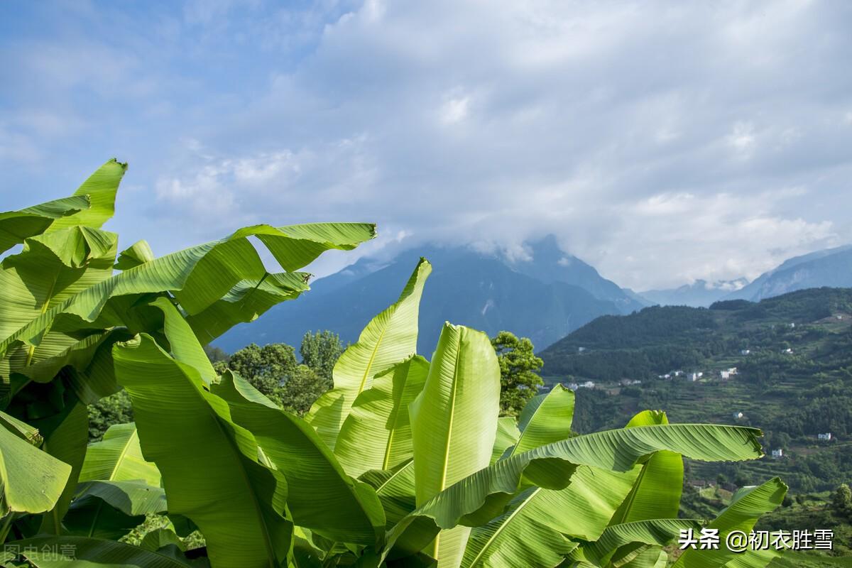 仲夏田园优美诗词五首（蔼蔼堂前林，中夏贮清阴）