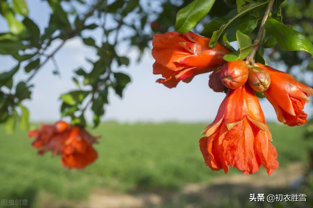 早夏经典诗词大全（早夏清丽优美诗词六首）