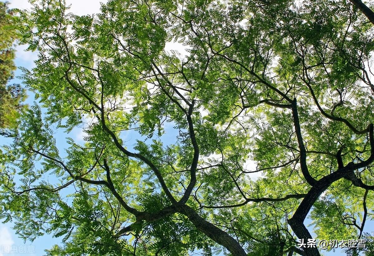 早夏经典诗词大全（早夏清丽优美诗词六首）