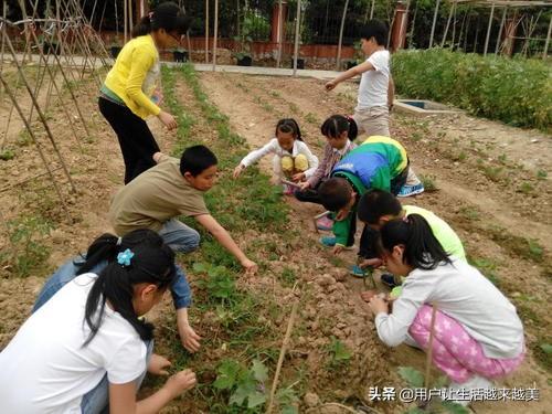 家庭教育的方法有哪些（推荐小学家庭教育解决办法）