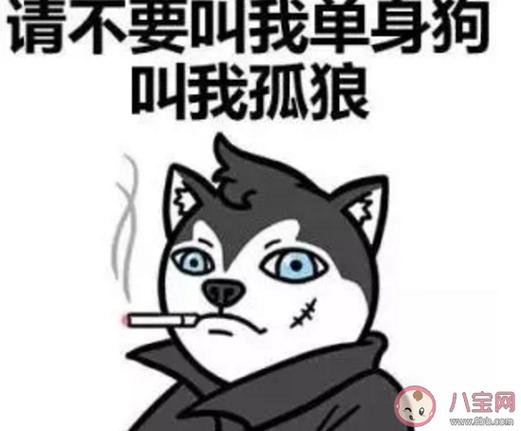 同学群聊昵称搞笑沙雕（同学群幽默搞笑句子130句——欢乐无限）