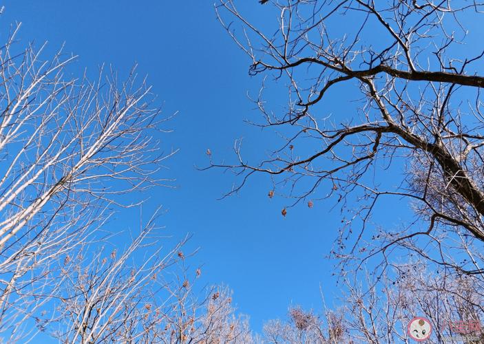 天气冷了的说说对朋友圈（岁末飘雪，冬日印记）