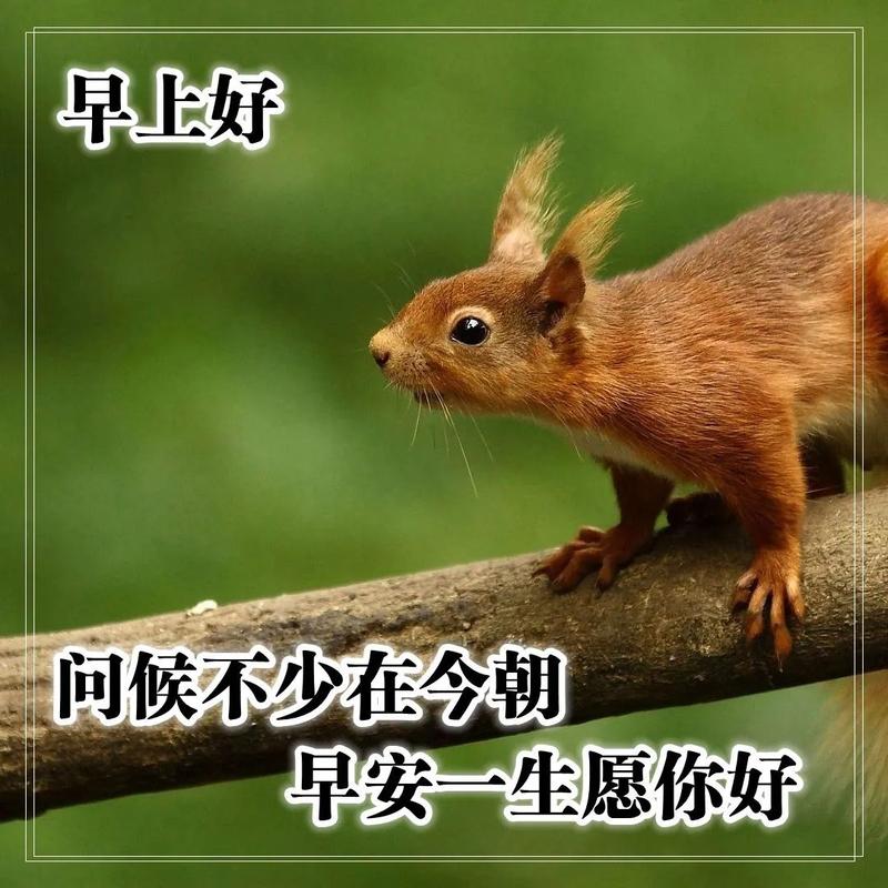 关于天气变冷的问候语（寒意袭人）