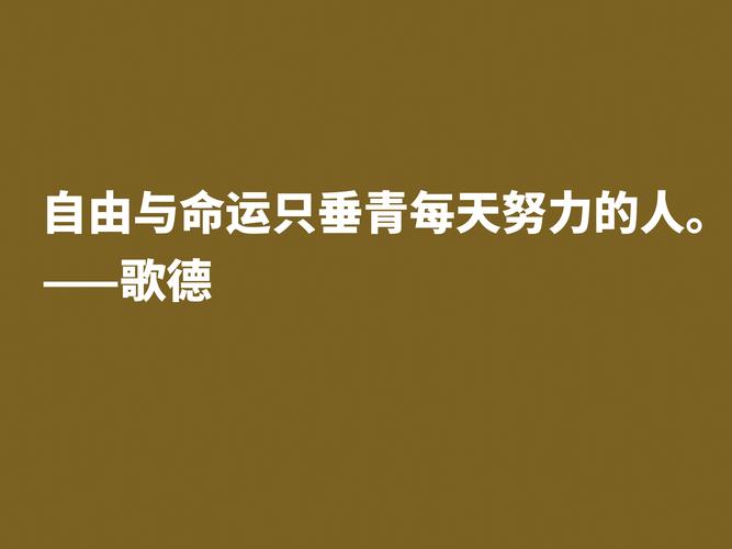 关于体现人生价值的诗句（引领人生道路的名言警句）