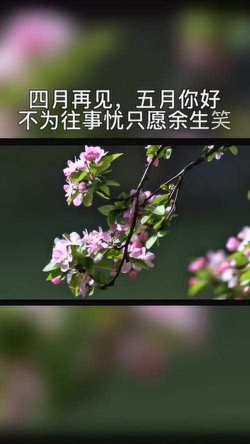 四月再见五月你好经典说说（五月的暖心与感动）