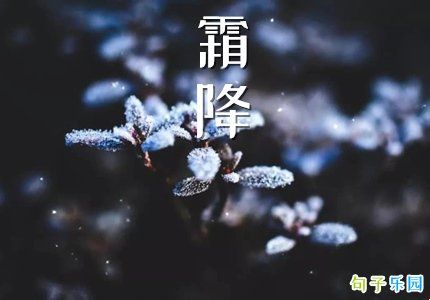 有关霜降说说心情短语的短句有哪些（霜降，沉静而美丽的季节）