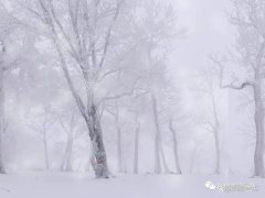 以雪花的梦为话题的作文怎么写（《雪花的梦》）