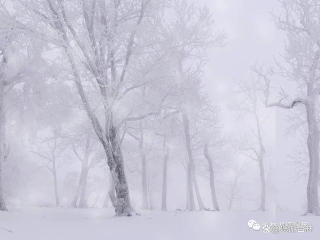 以雪花的梦为话题的作文怎么写（《雪花的梦》）