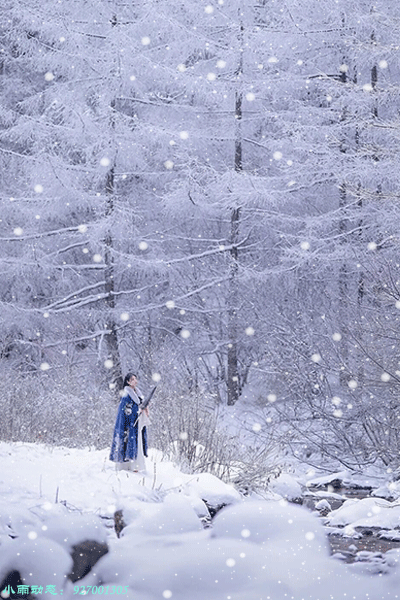 以雪花的梦为话题的作文怎么写（《雪花的梦》）