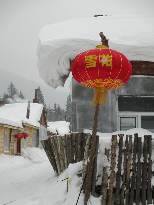 神奇的雪山之旅作文（《银白王国》）