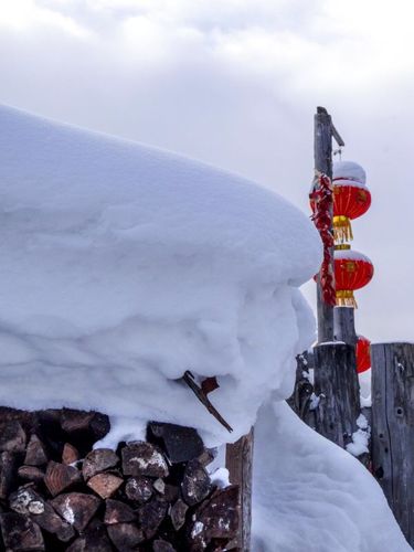 神奇的雪山之旅作文（《银白王国》）