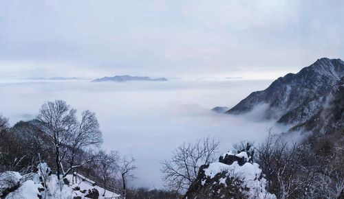 神奇的雪山之旅作文（《银白王国》）