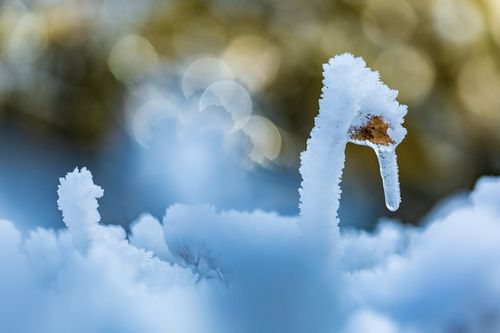 百年难遇之雪作文（《一个城市的故事》）