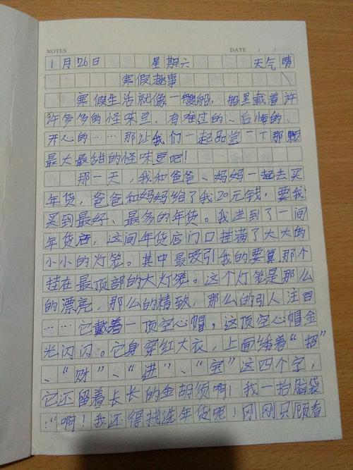 有关寒假趣事的作文600字（《意外的“冬令营”》）