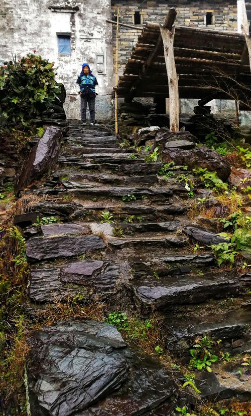 有关于写雨的作文（《写雨》）