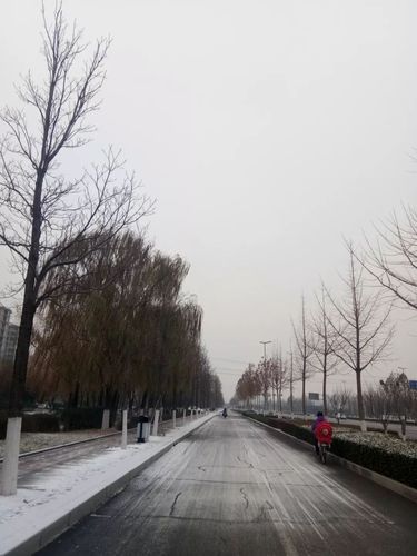 有关第一场雪的作文（《第一场雪，让我体会到人性的善良》）