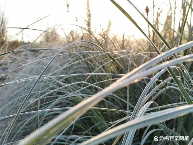 以我从来没有这样为话题的作文题目（《当陌生人成为了一段美好的回忆》）