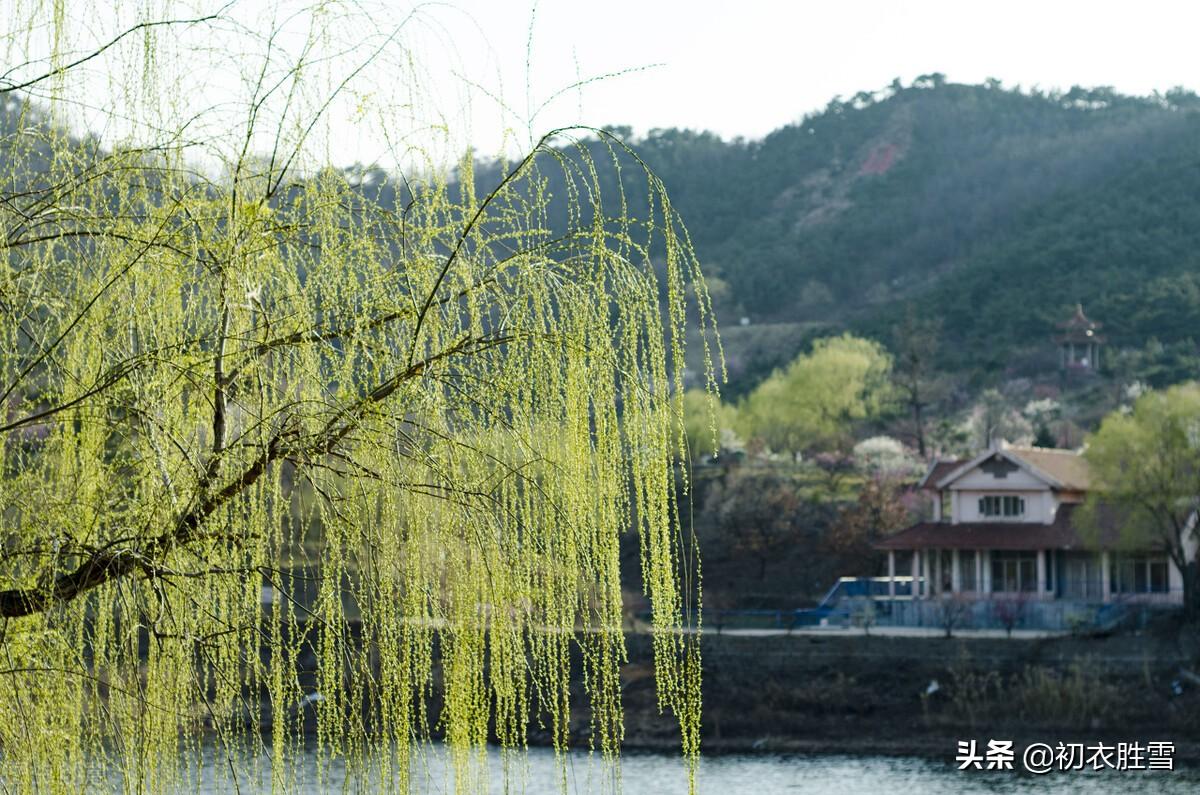 相思经典诗词有哪些（夏日长相思优美诗词七首）