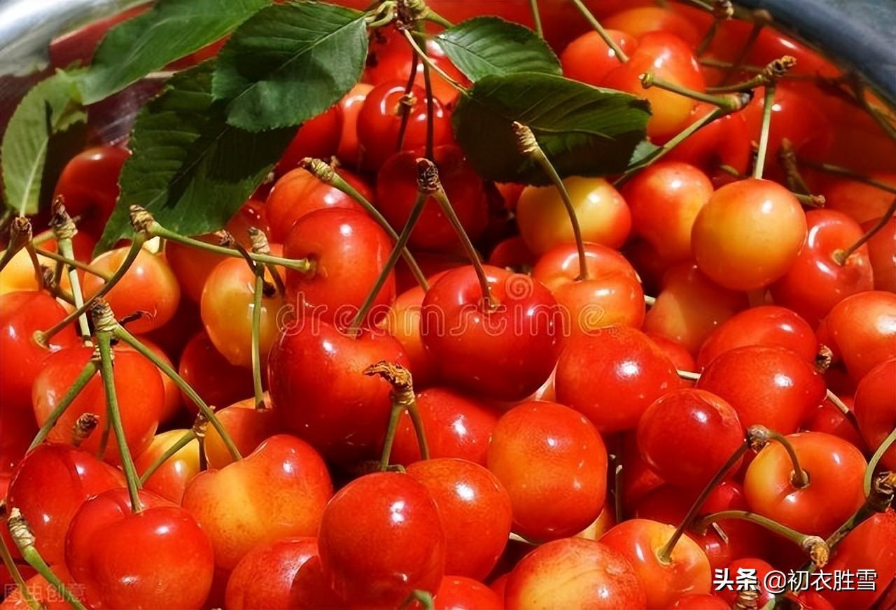 夏天樱桃优美古诗七首（红垂果蒂樱桃重，摘下盘中颗颗香）